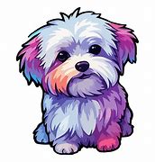 Image result for Maltese Clip Art