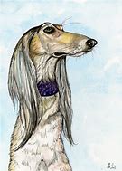 Image result for Saluki Dog Cart