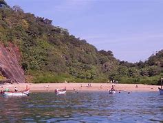 Image result for Butterfly Beach Goa