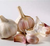 Image result for Pic of Garlic