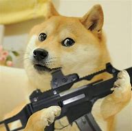 Image result for Froge Gun Meme