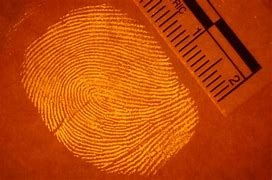 Image result for Forensics Crime Scene Fingerprints