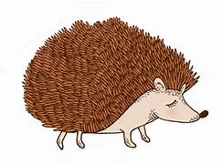 Image result for Hedgehog ClipArt