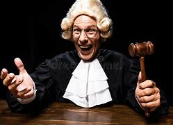 Image result for Judicial Wig