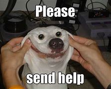 Image result for Help Is Coming Dear Meme