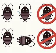 Image result for Dead Bug Art