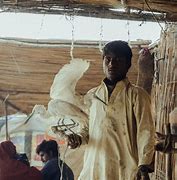 Image result for Hongana Manyama Tribe