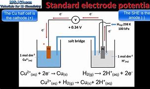 Image result for Standard Electrode Potential