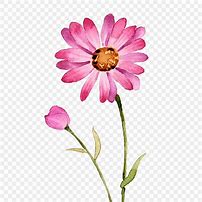 Image result for Hand Drawn Daisy Flower