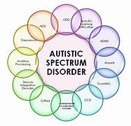 Image result for With Autism Spectrum Disorder