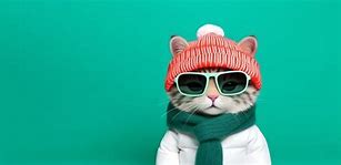 Image result for Cat with Ski Mask Funny