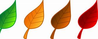 Image result for Red Leaves Clip Art