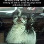 Image result for Good Job Cat Meme