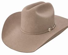 Image result for Expensive Cowbow Hat