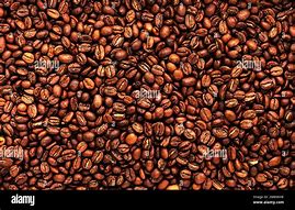 Image result for Arabica Coffee Beans Top View