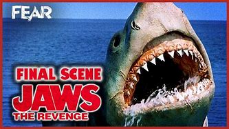 Image result for Jaws No Shark