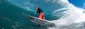 Image result for Volcom Models