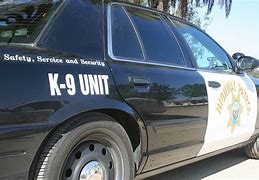 Image result for Police Car K9 Dog