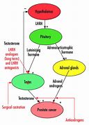 Image result for Lrhw Maneuverability