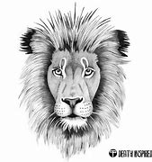 Image result for Lion Portrait Drawing