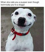 Image result for Smiling Dog No Chair