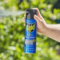 Image result for Raid Ant Spray