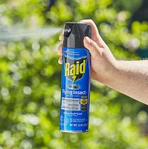 Image result for Raid Bug Spray Logo