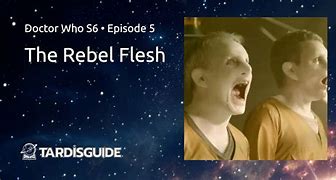 Image result for The Rebel Flesh