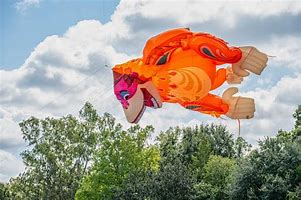 Image result for Orange Kite Flying