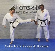 Image result for Yuko Geri