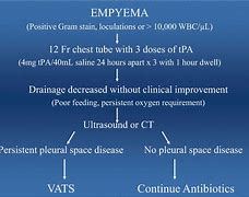 Image result for Thoracic Empyema On Percussion