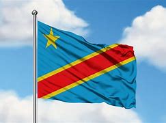 Image result for Democratic Congo Flag