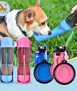 Image result for Travel Dog Water