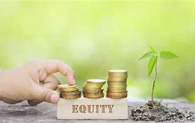 Image result for Equity Investment