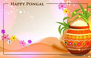 Image result for Pongal Background