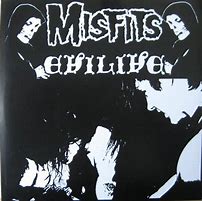 Image result for Misfits Evilive