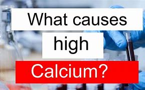 Image result for High Calcium Products