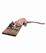 Image result for Animated Rat Trap