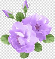 Image result for Purple Lily Flower Clip Art