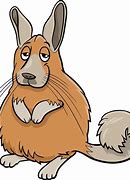 Image result for Animaru Viscacha