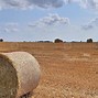 Image result for Wheat Harvest Pic