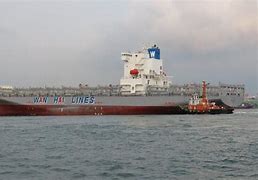 Image result for Wan Hai 315 Vessel