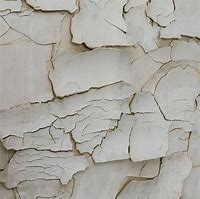 Image result for Fracture Exterior