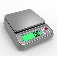 Image result for Small Weighing Scale for Food