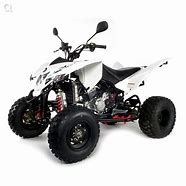 Image result for Us Street-Legal Quad