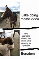 Image result for Jake Is so Cute Meme