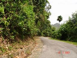 Image result for Empangan Temenggor