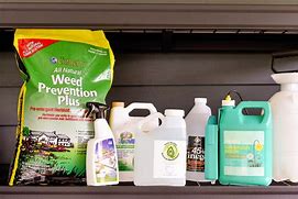 Image result for Best Systemic Weed Killer