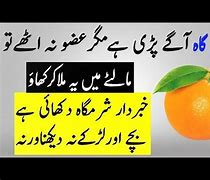 Image result for Hanan Kitchen