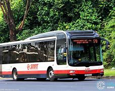 Image result for Smrt Bus for 7